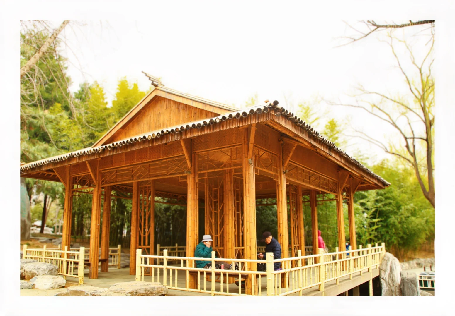 标题：🏕️园林湖畔，静享悠闲慢时光正文：