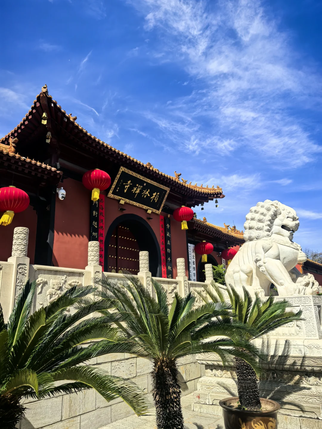 一寺，一古树，舍利镇塔底！