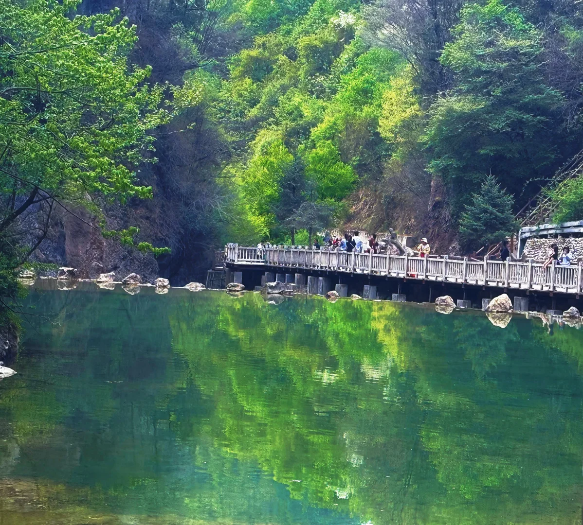 🌲官鹅沟👉差评，差评，差评！