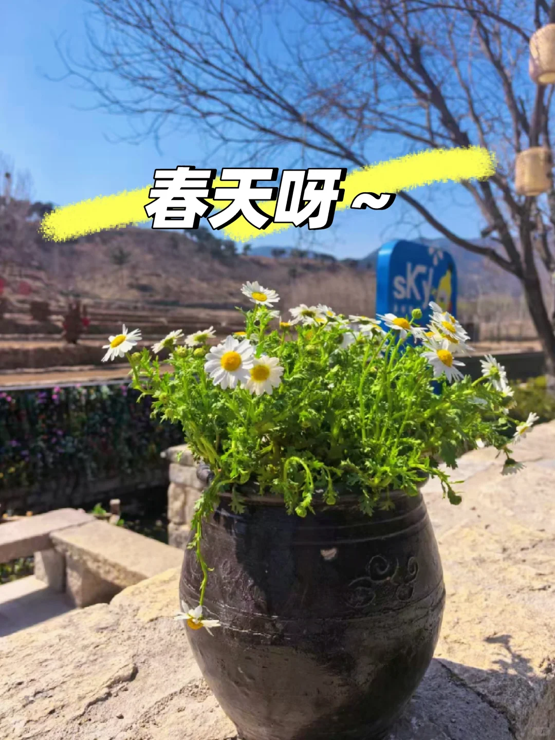 济南·来了❗“天上的街市”五一节目单❗❗