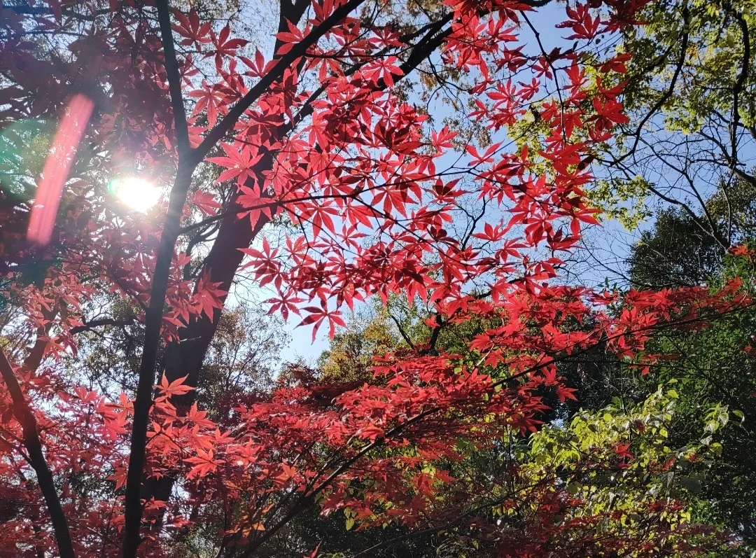 南京还有什么我没去过的地方