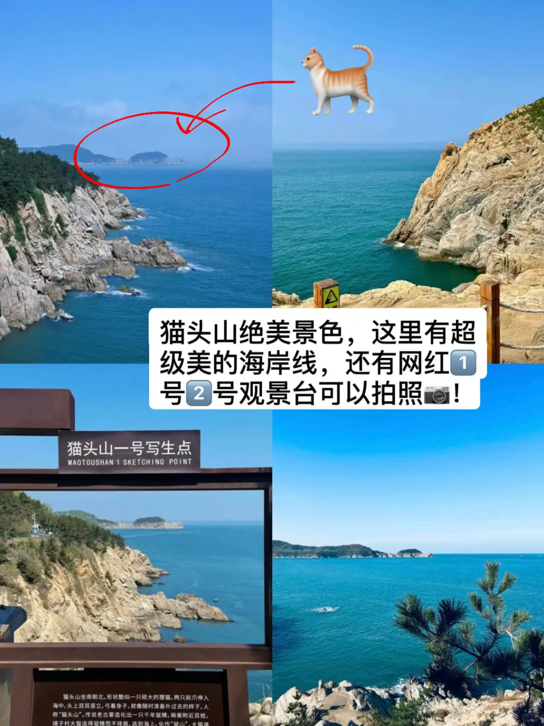 刚从威海回来（我的建议是）认真看完…