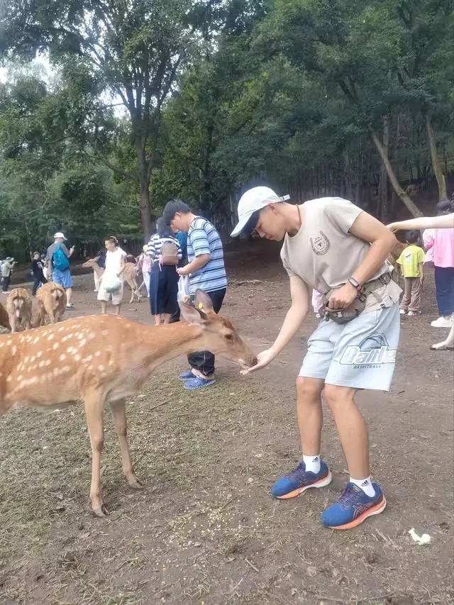 伊春金山鹿苑订票