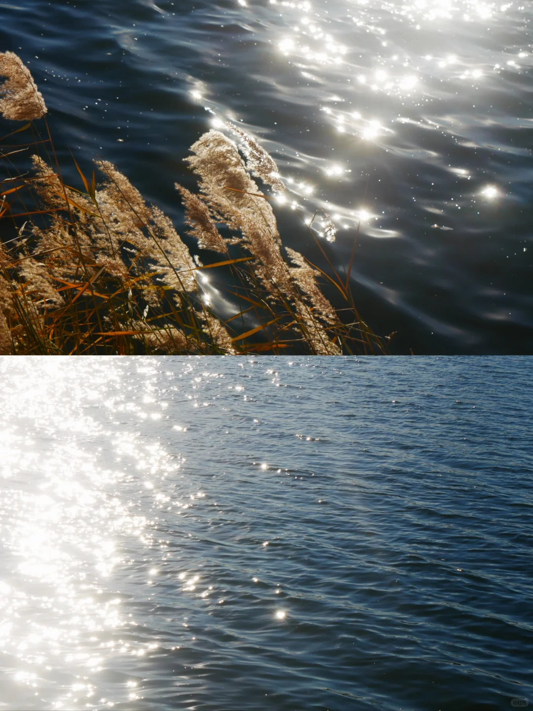 冬天的照片夏天发✨️等着海鸥再出发🪽