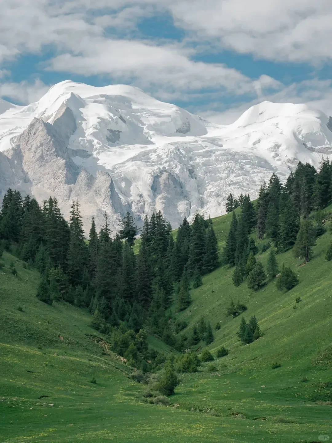 接下来,川西的夏天直接封神!!!
