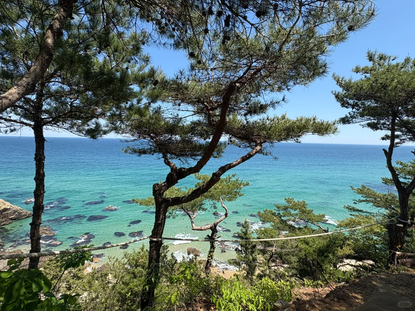 🌊江陵超全旅游攻略｜韩剧同款海边~