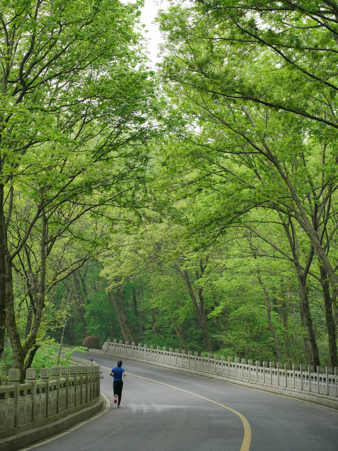 人生建议‼️五一来南京，千万不要错过这里