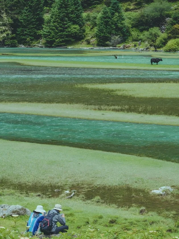 比起九寨沟，川西这个小众景点更让我惊艳