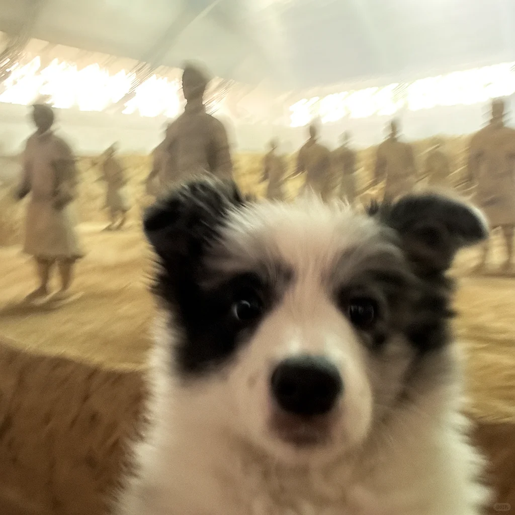 五一景点打卡攻略