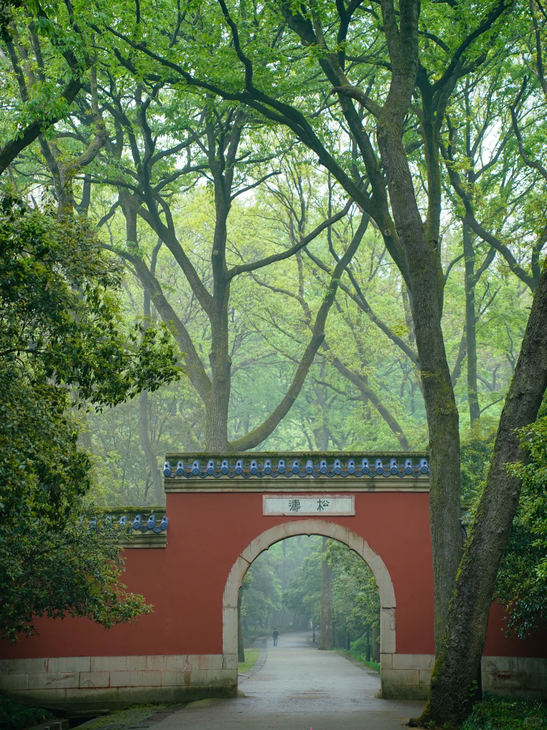 人生建议‼️五一来南京，千万不要错过这里