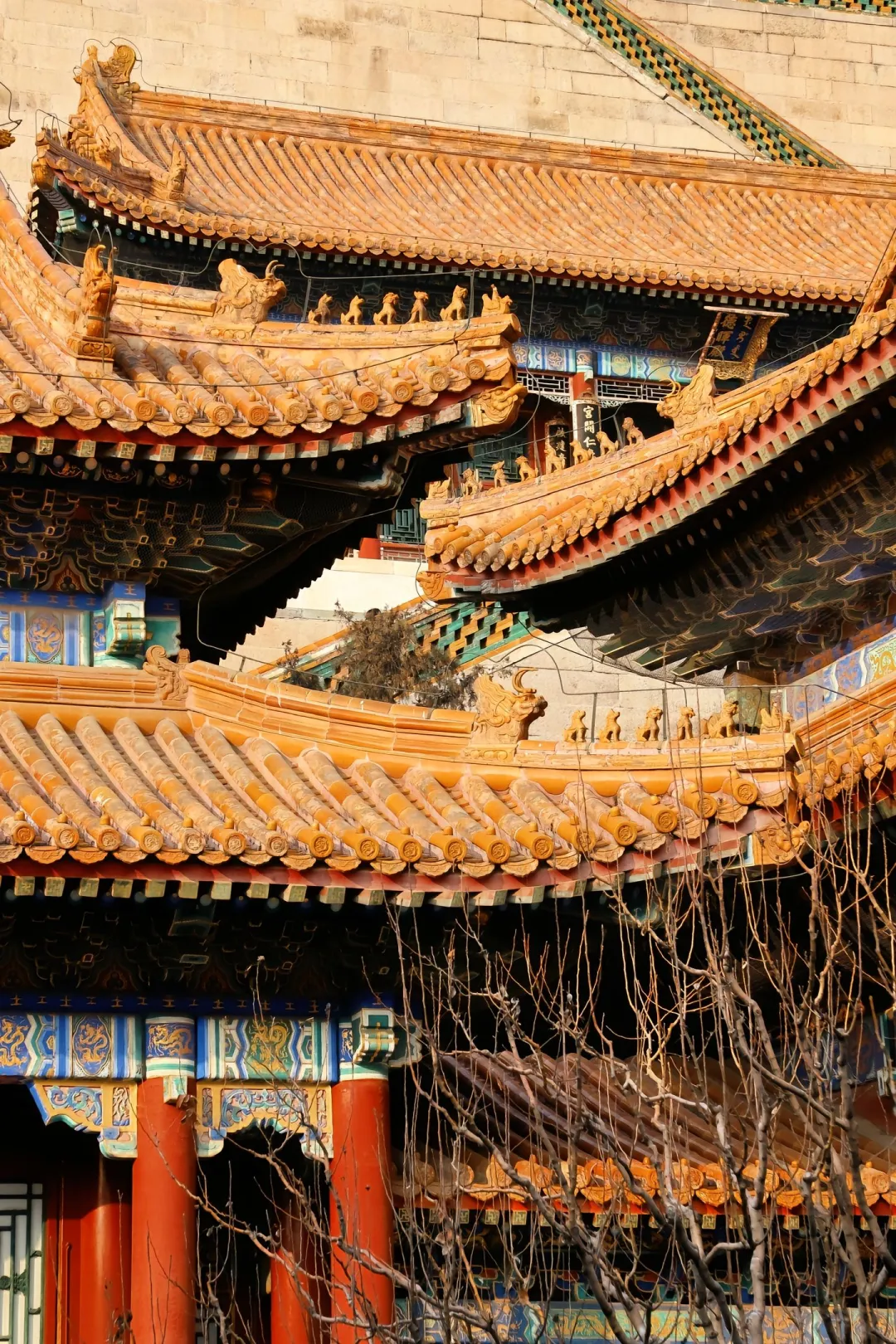 这个古建筑也太好看了吧！‼️