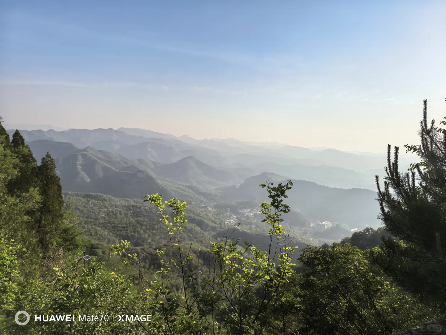 今儿，这个山头我们承包啦