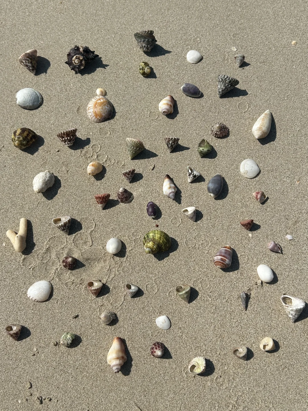 5月2日的涠洲岛刷新了我对五一的认识