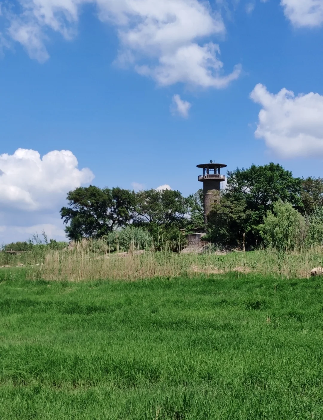 南京还有什么我没去过的地方