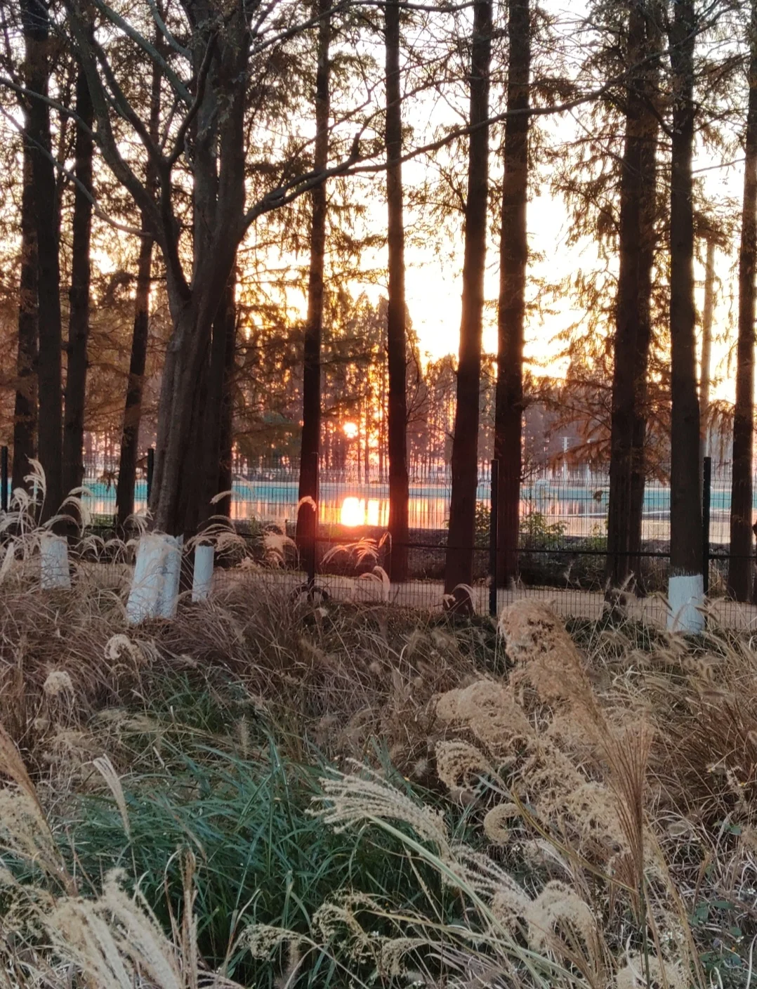 南京还有什么我没去过的地方