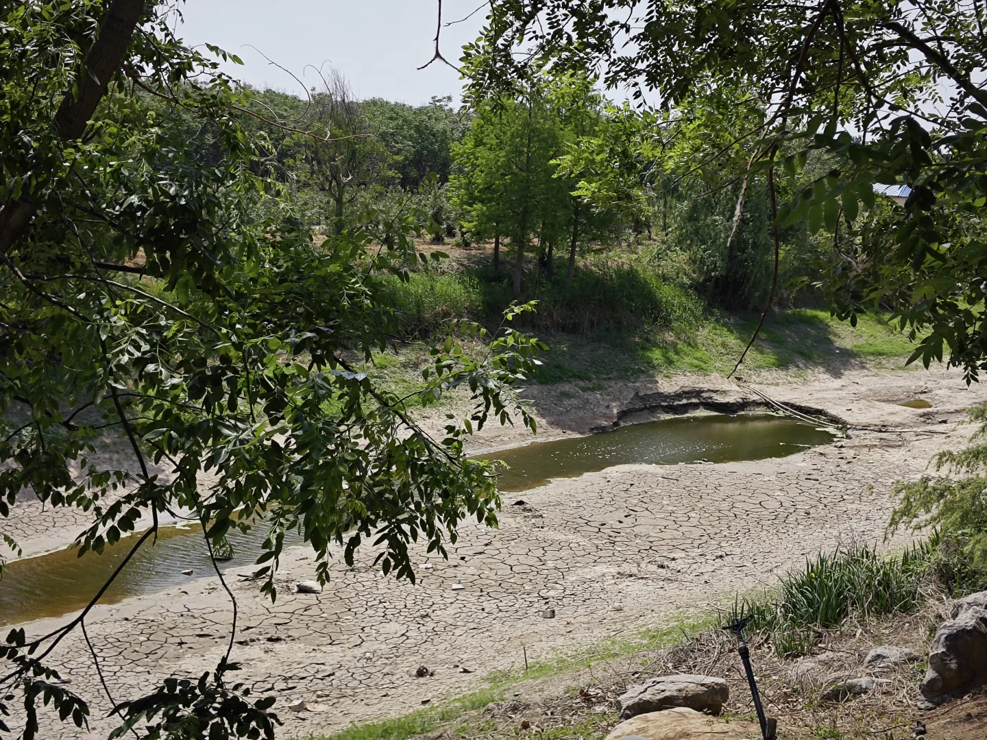 避雷赵都水镇吧，已经凉了