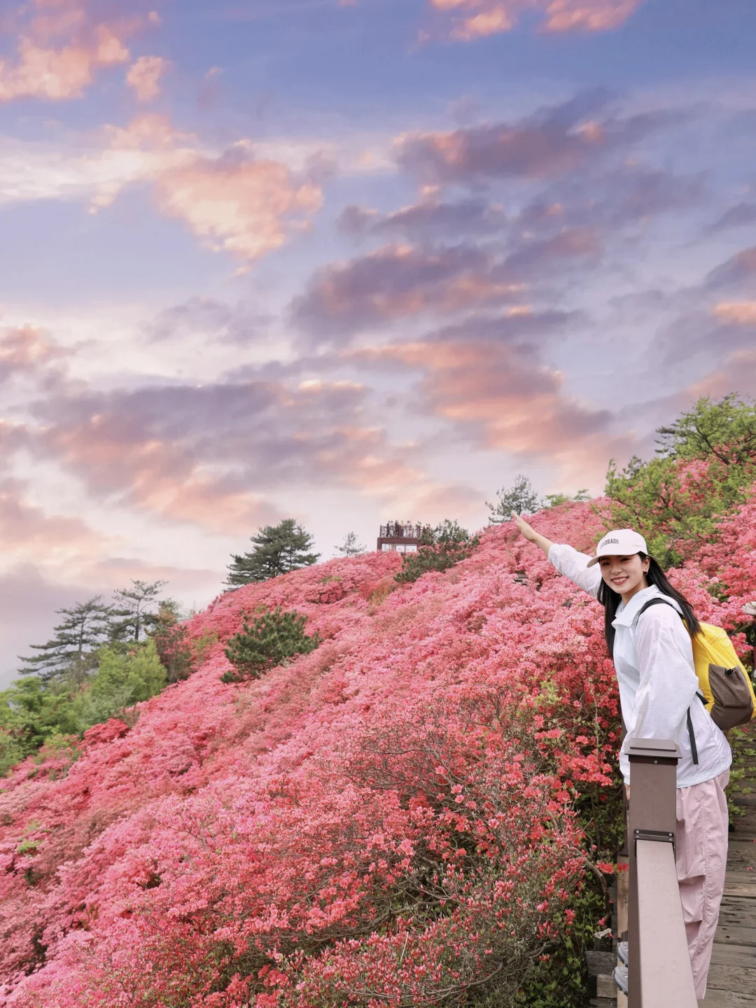 武汉2h,这里杜鹃花🌺已开爆!速来!附攻略