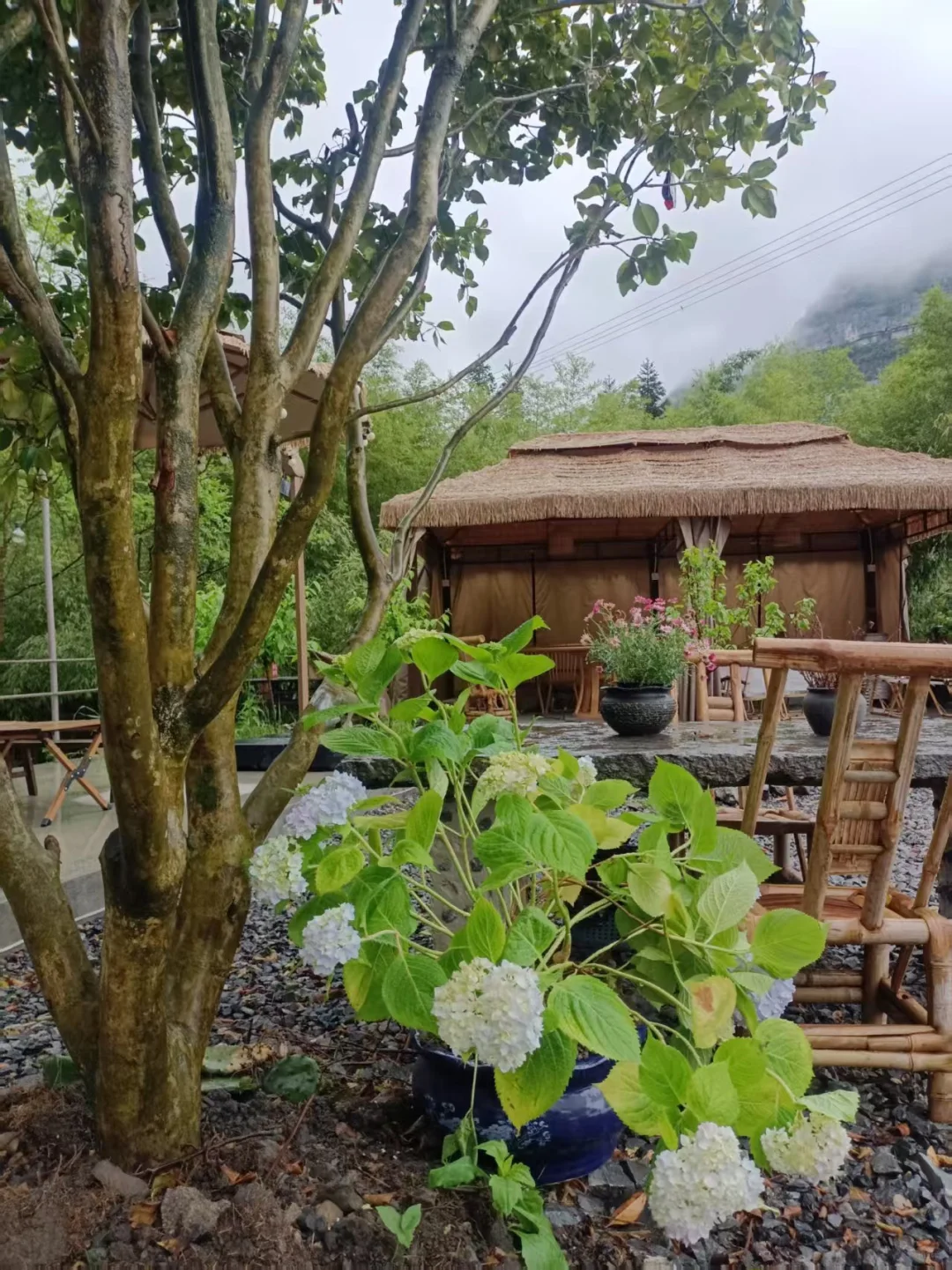 重庆周末去哪儿玩｜5月8日金佛山景区实况