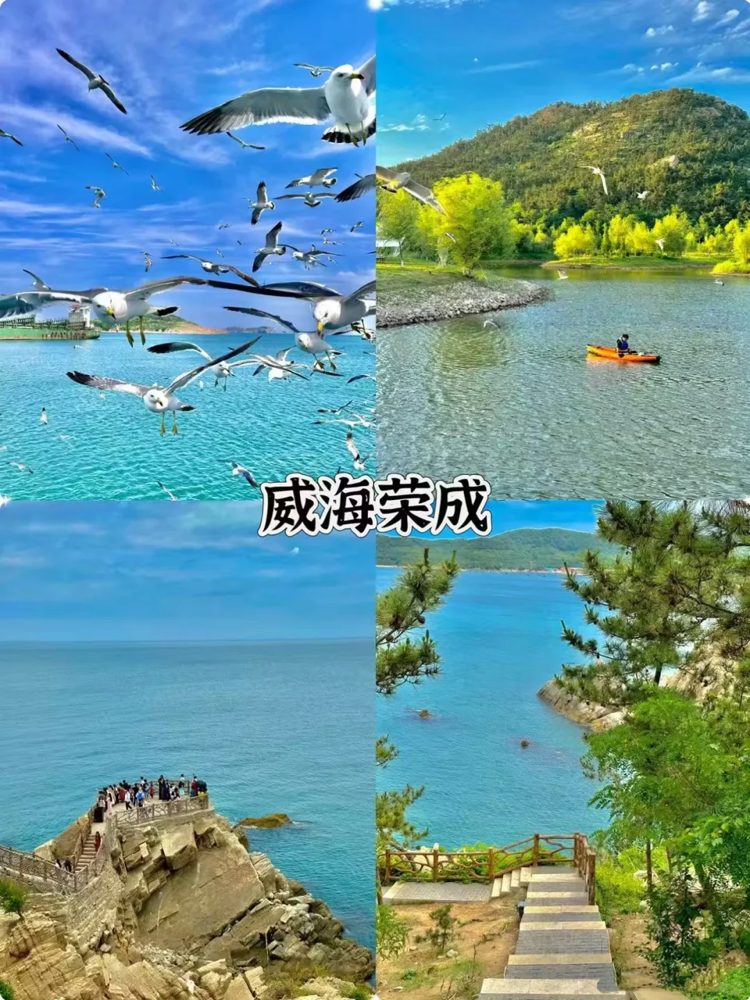 山东周边游｜解锁6大宝藏地，开启如歌旅程✨