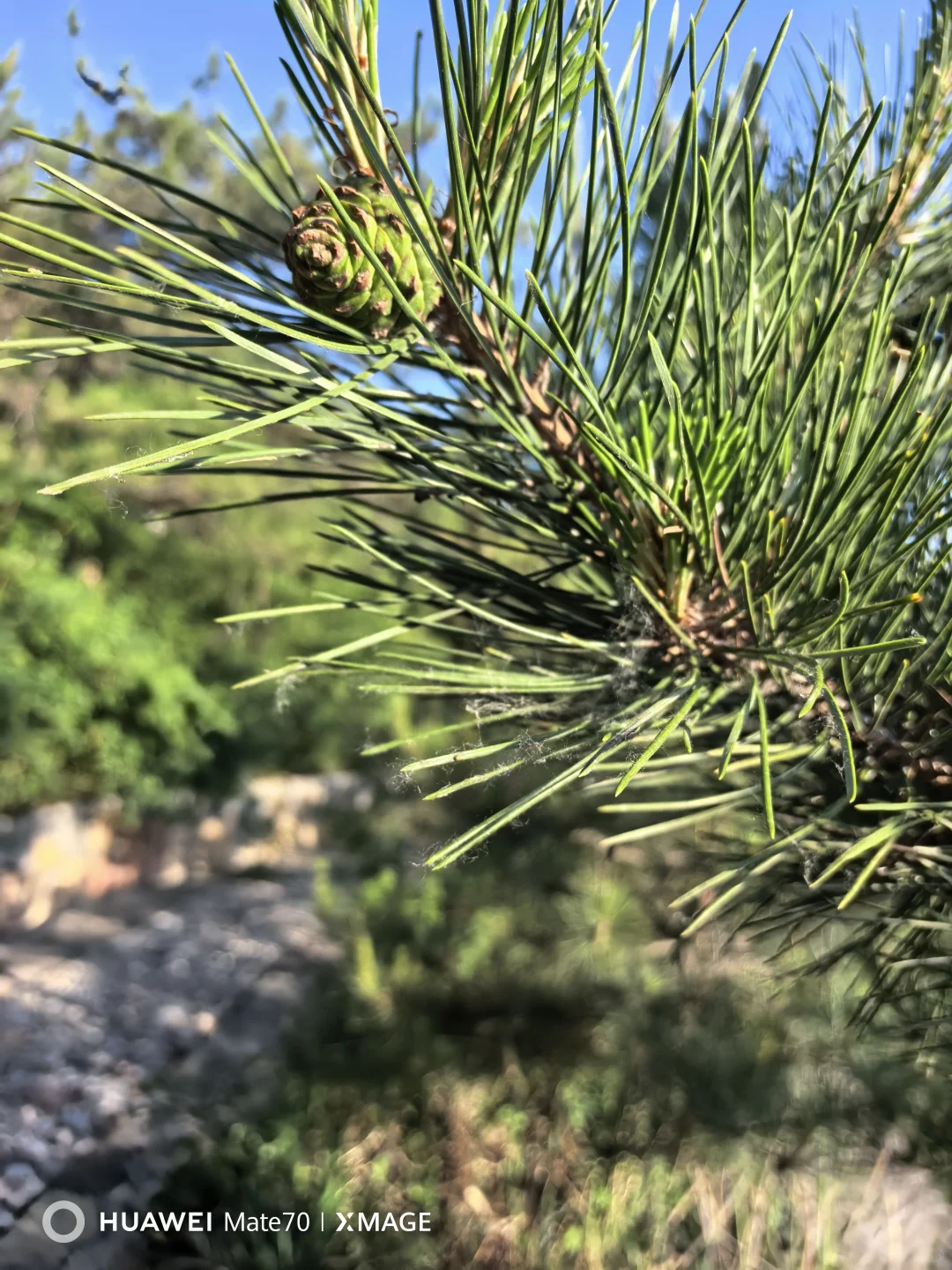 今儿，这个山头我们承包啦