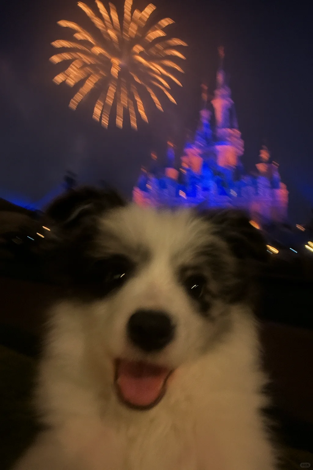 五一景点打卡攻略