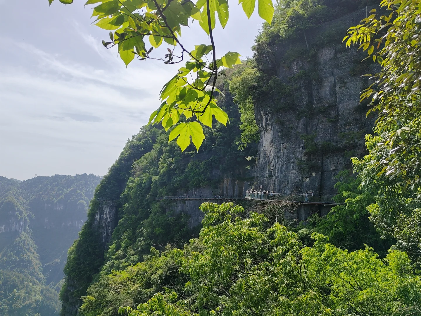 这应该是五一人最少懒人最友好的5A景区吧