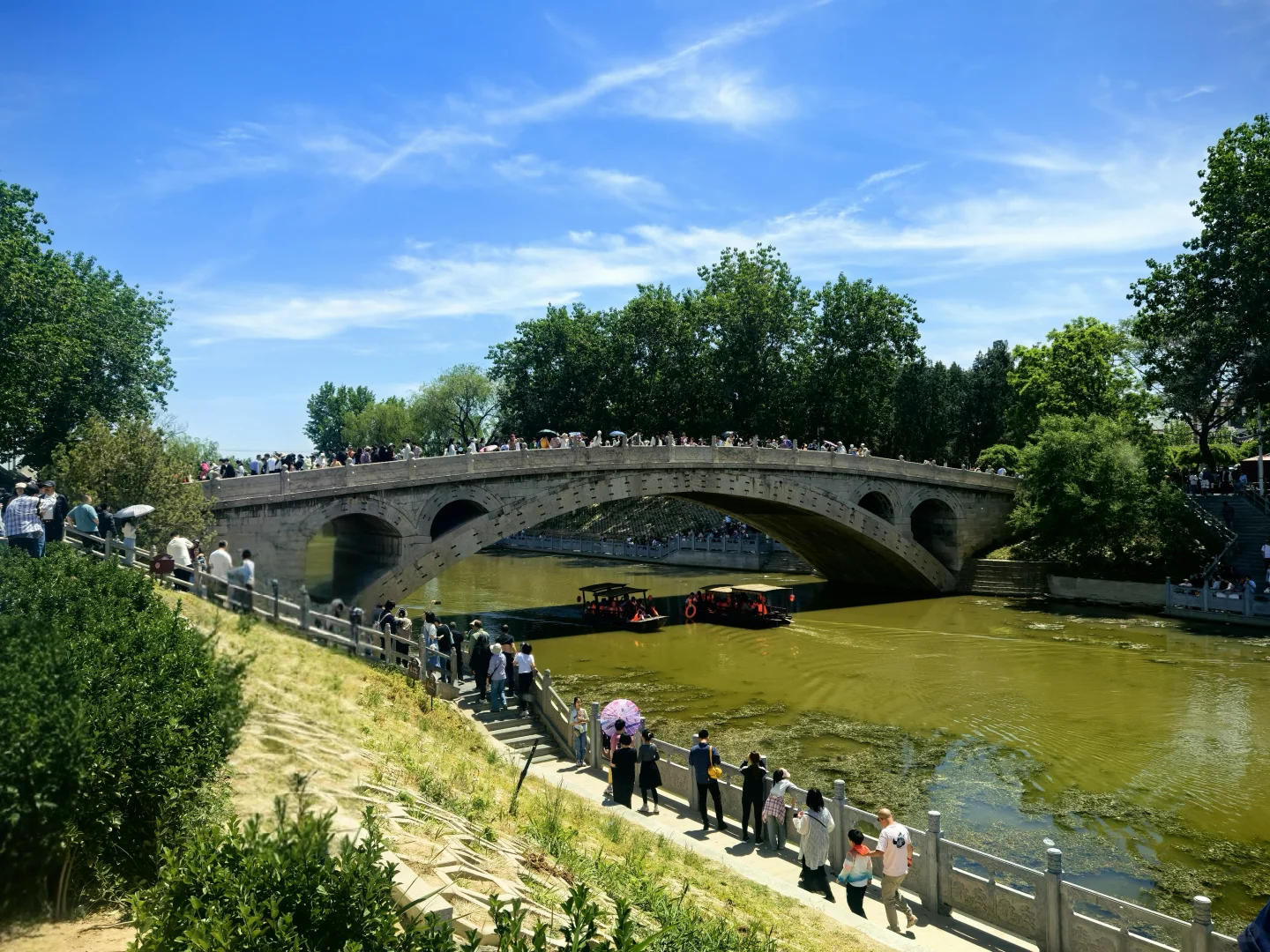 一寺，一古树，舍利镇塔底！