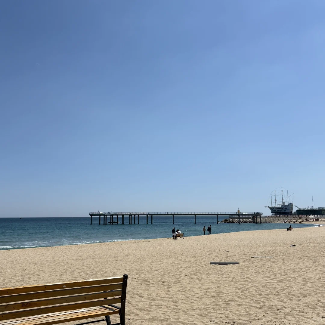 🌊江陵超全旅游攻略｜韩剧同款海边~