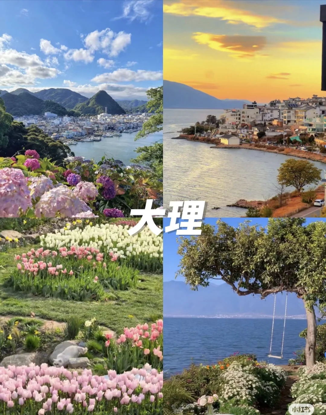 出去玩-保姆级推荐