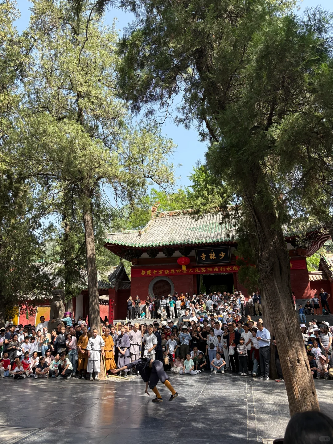 不是，也没人告我五一洛阳景区人这么多啊