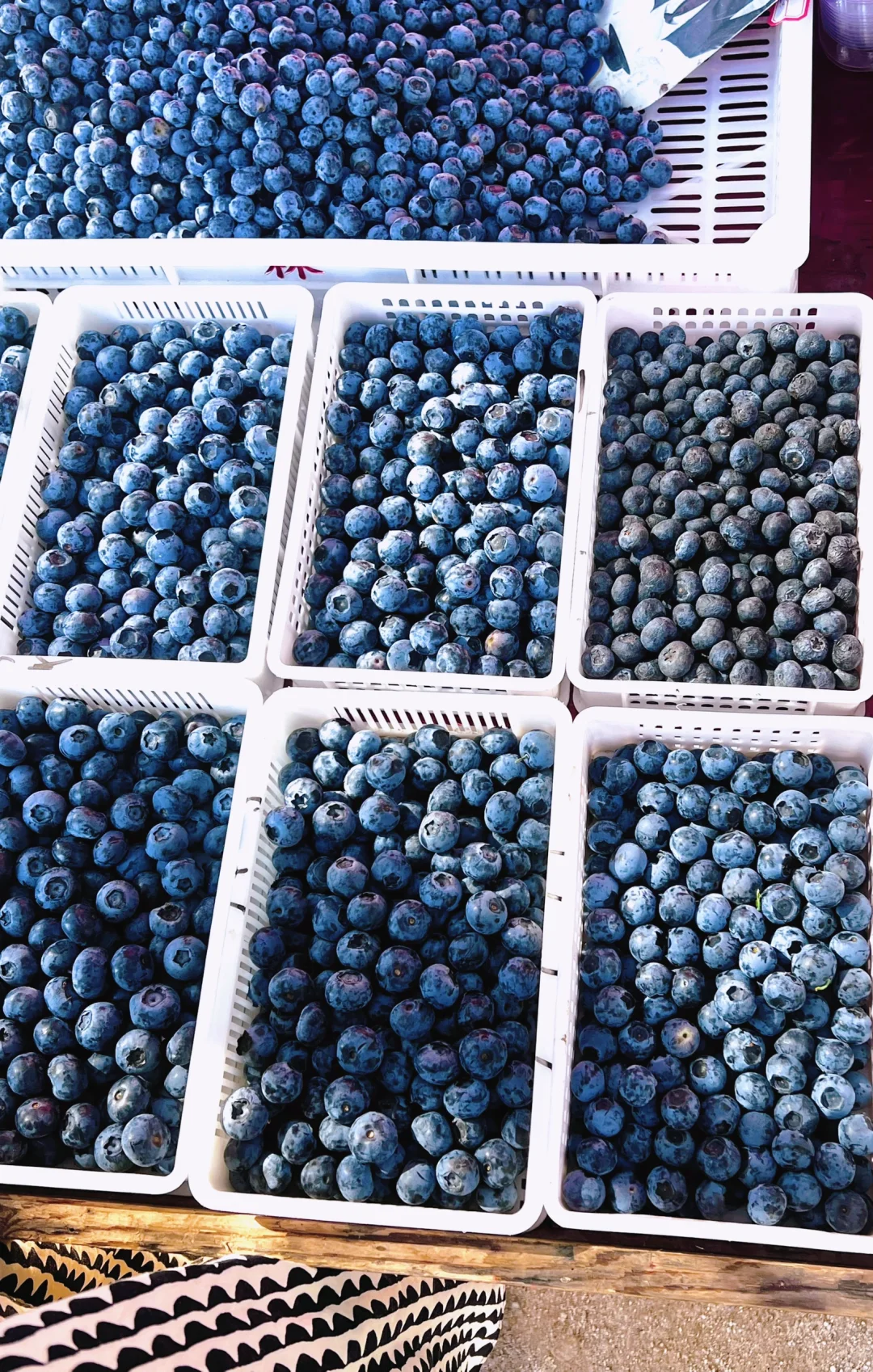 🌊五一刚回来,推荐个小众人少景色好的小岛