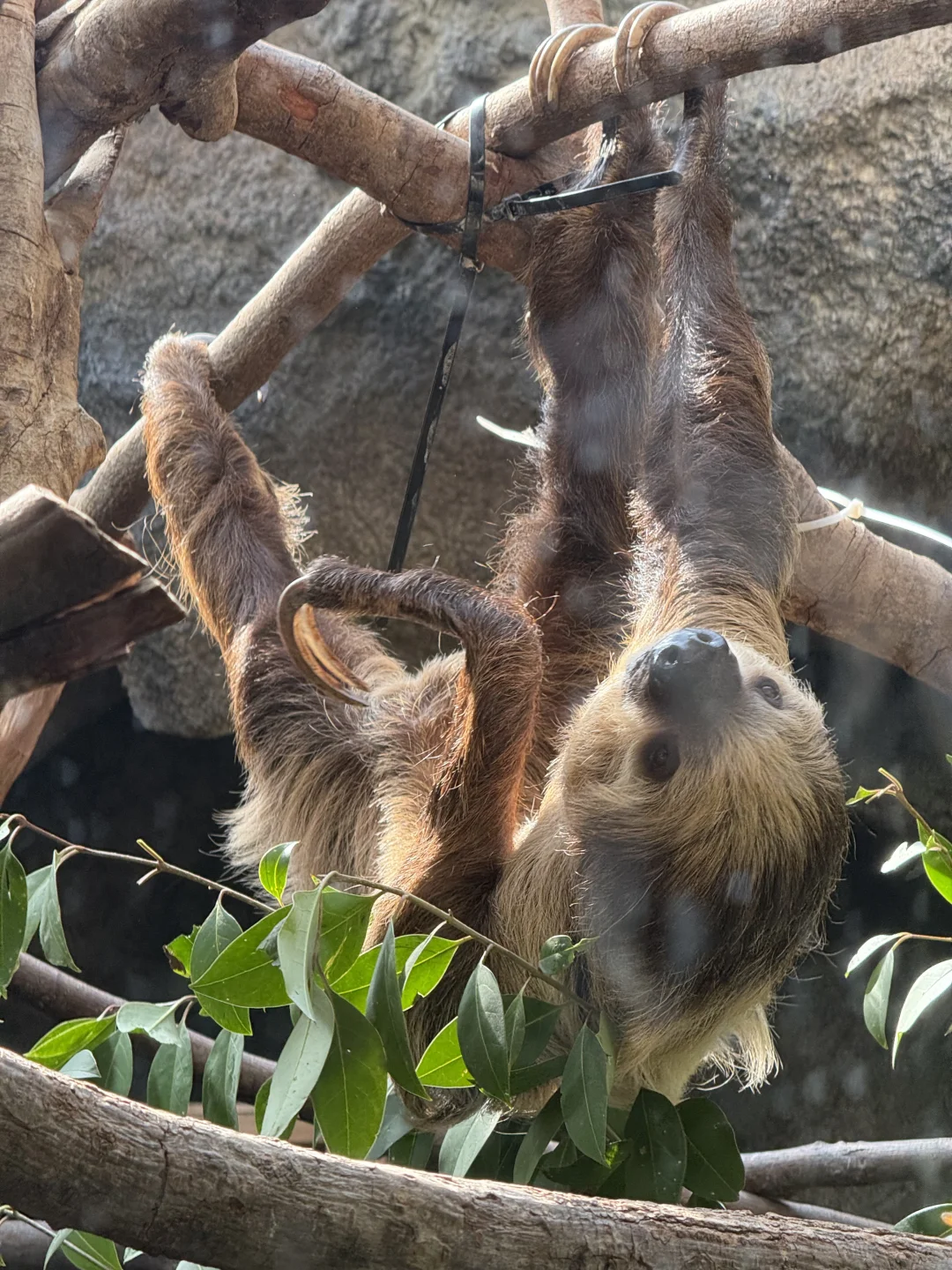 淄博→南京 两天一晚特种兵旅行攻略