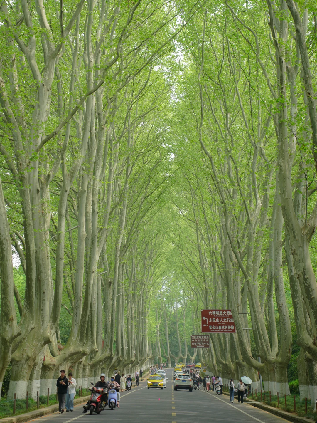 人生建议‼️五一来南京，千万不要错过这里
