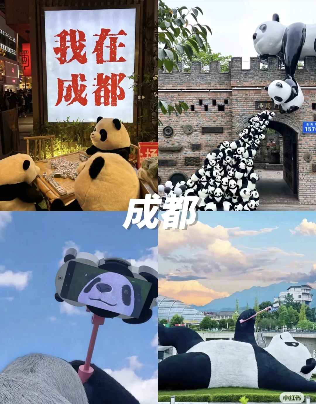 出去玩-保姆级推荐