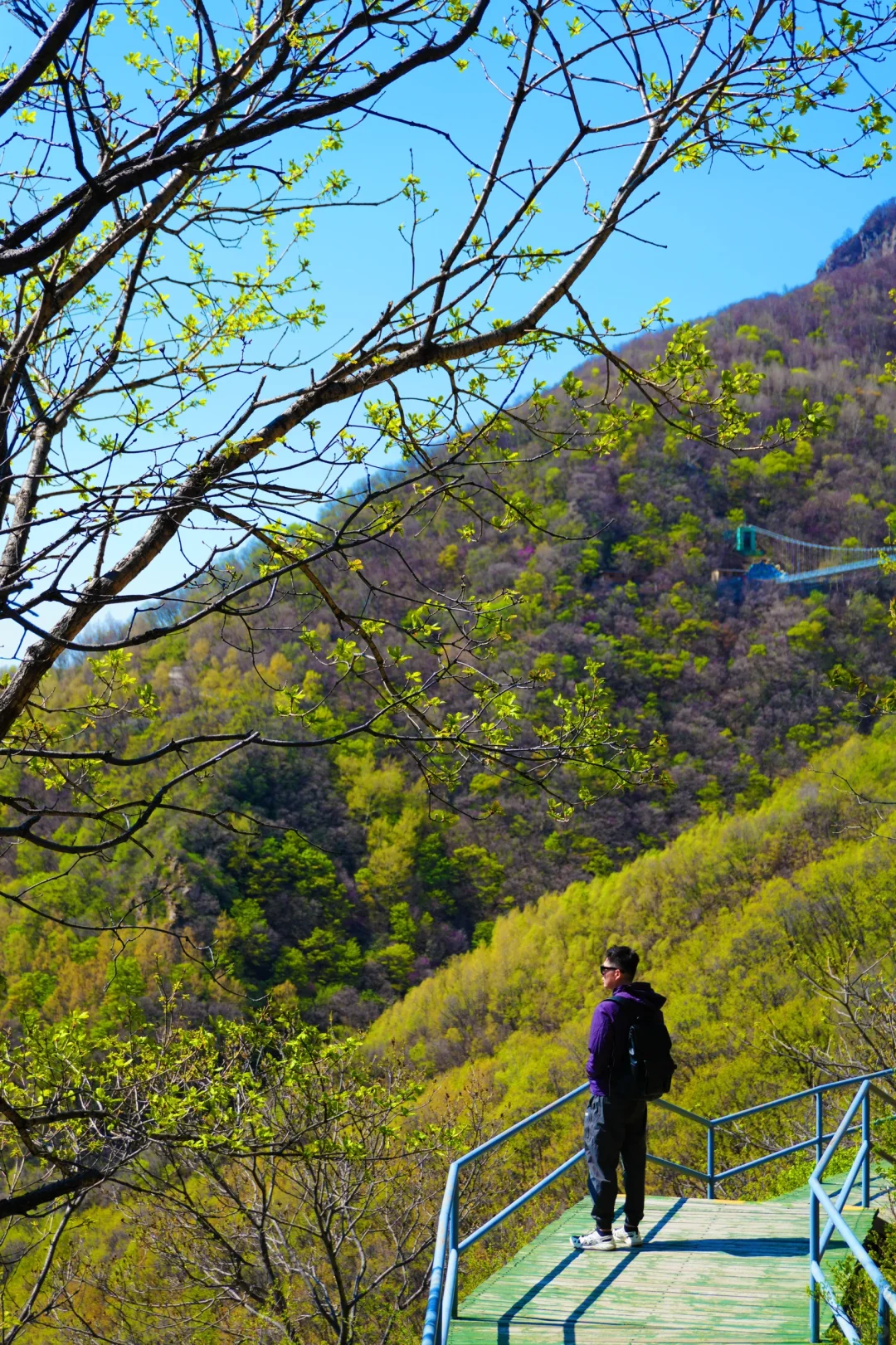 反向旅游是真的香❗️承包整片风景，野心友好