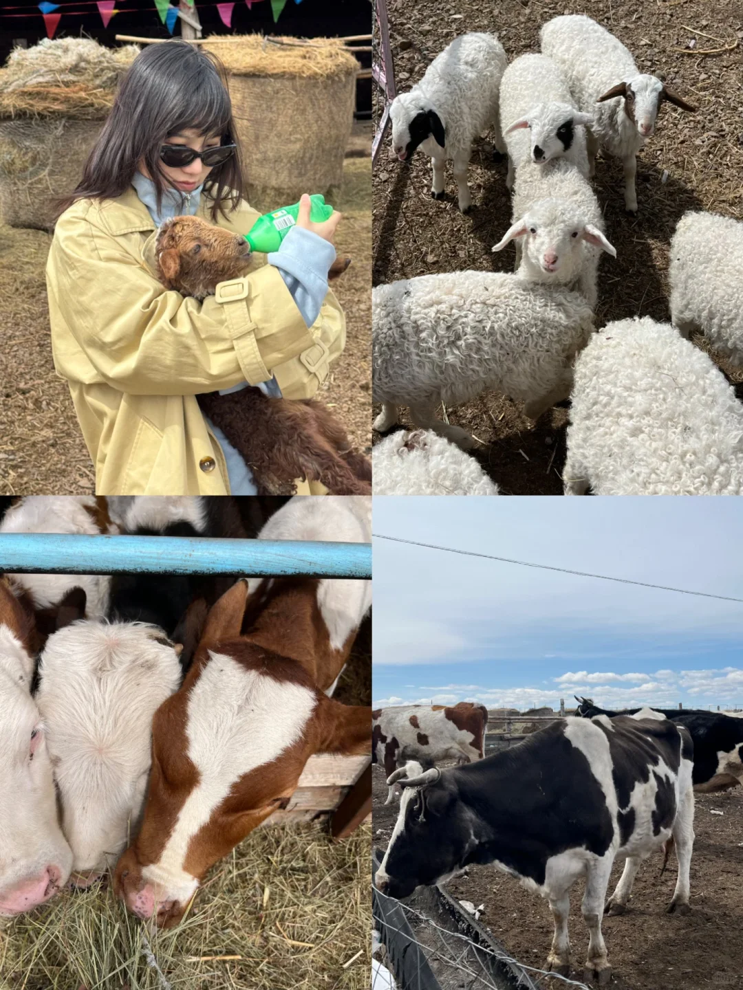 五一旅游体验感最好的一次