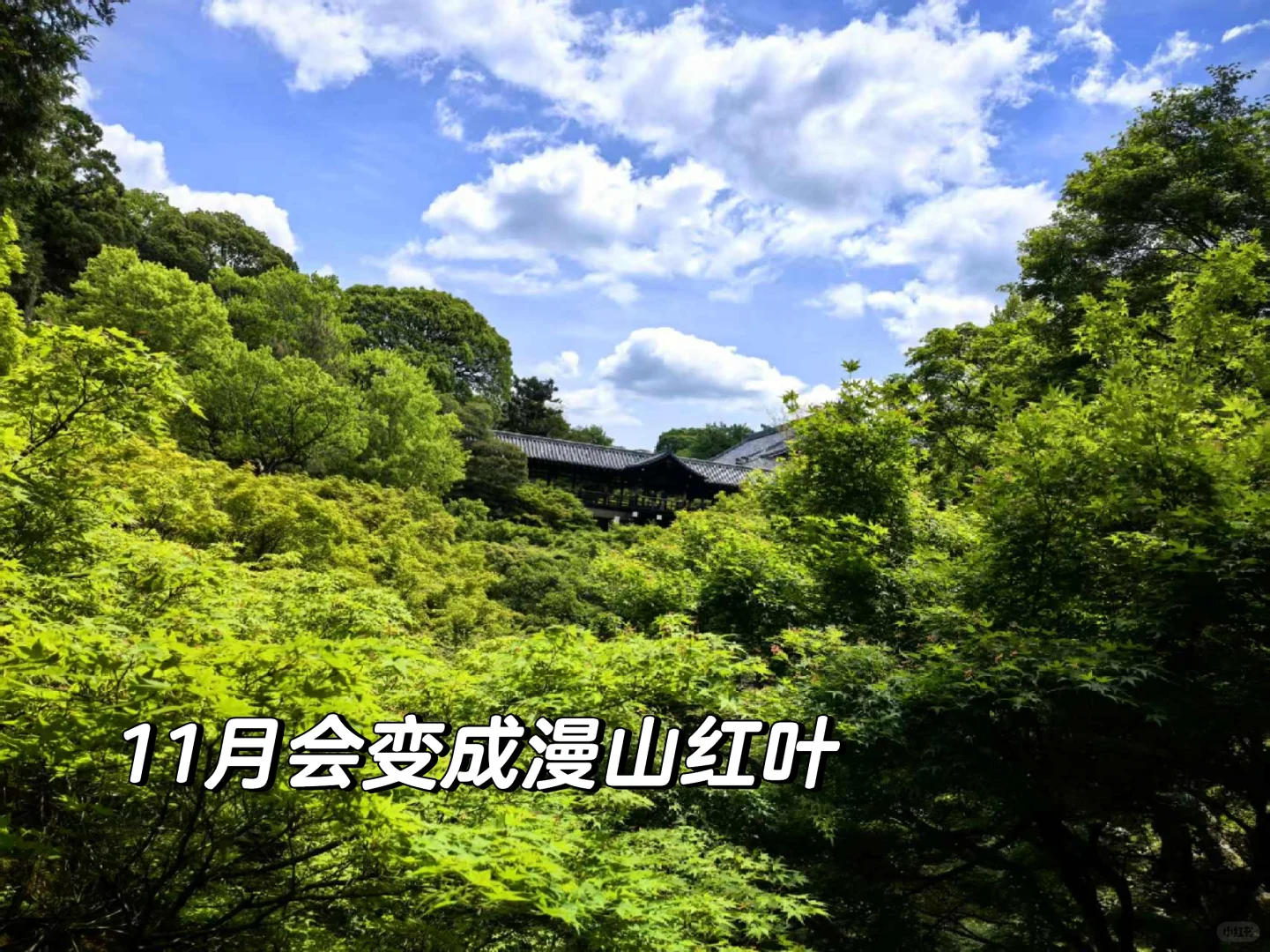 京都东福寺吸氧