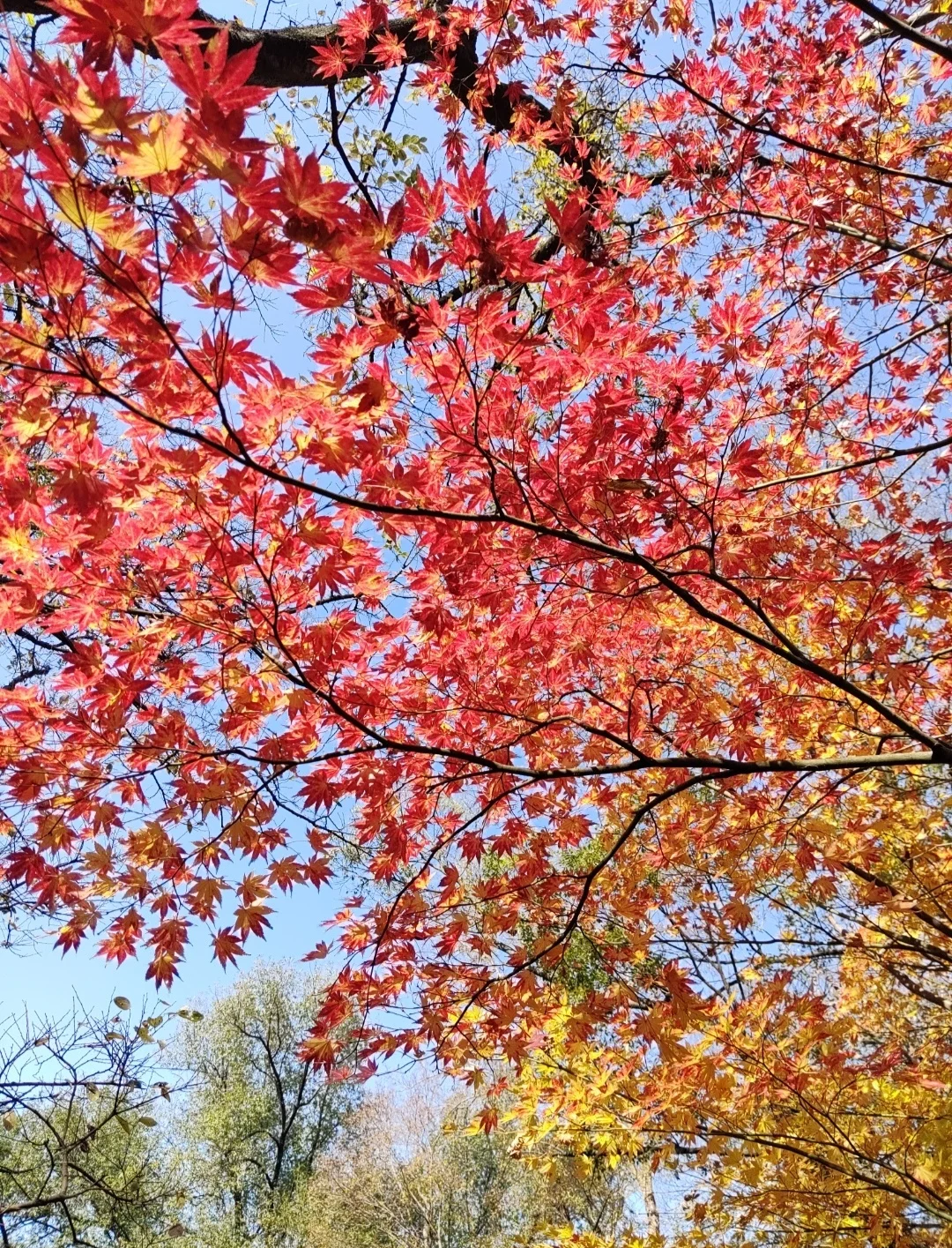 南京还有什么我没去过的地方