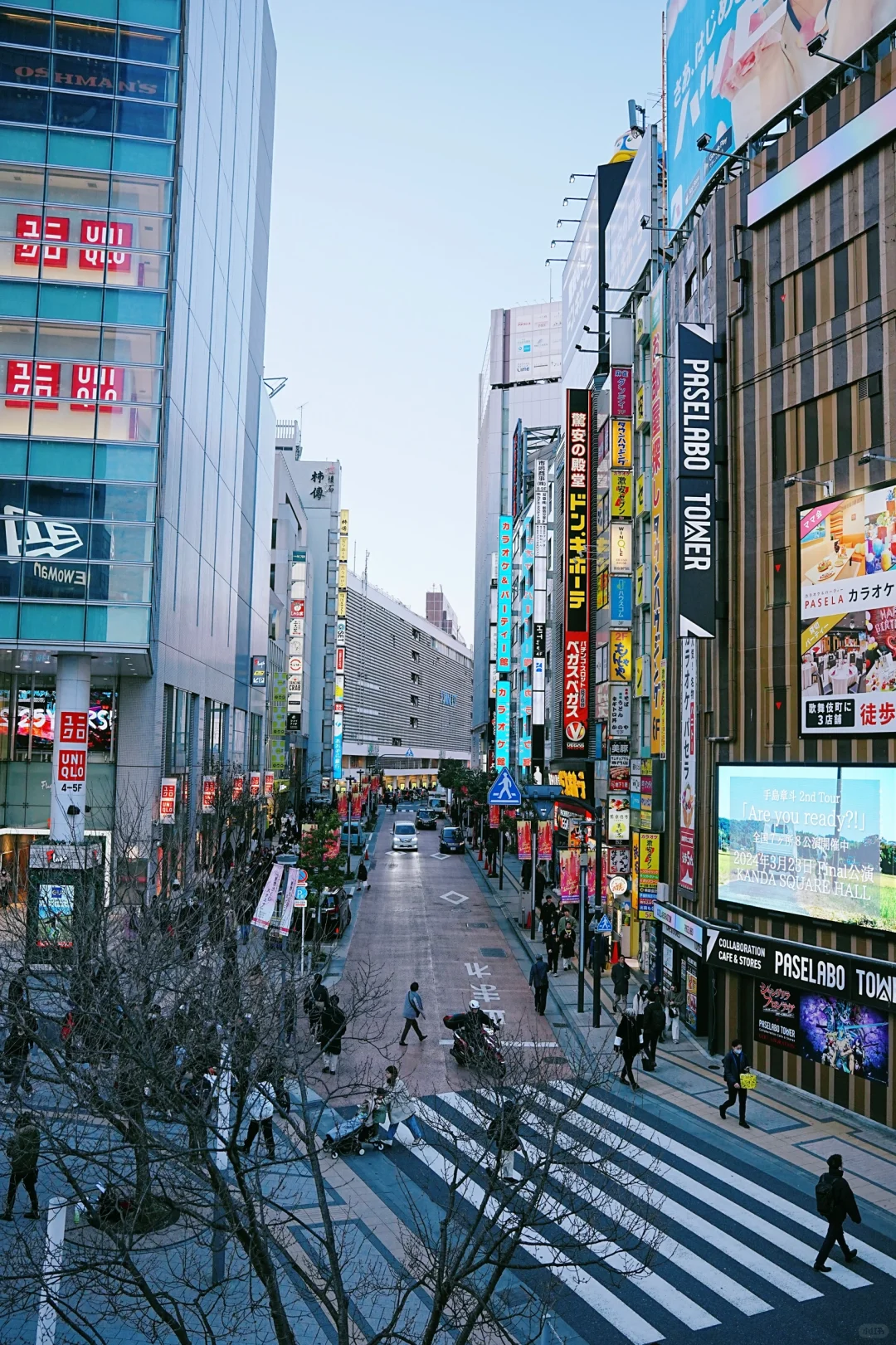 东京🇯🇵一日游超全攻略‼️省时省力不走弯路