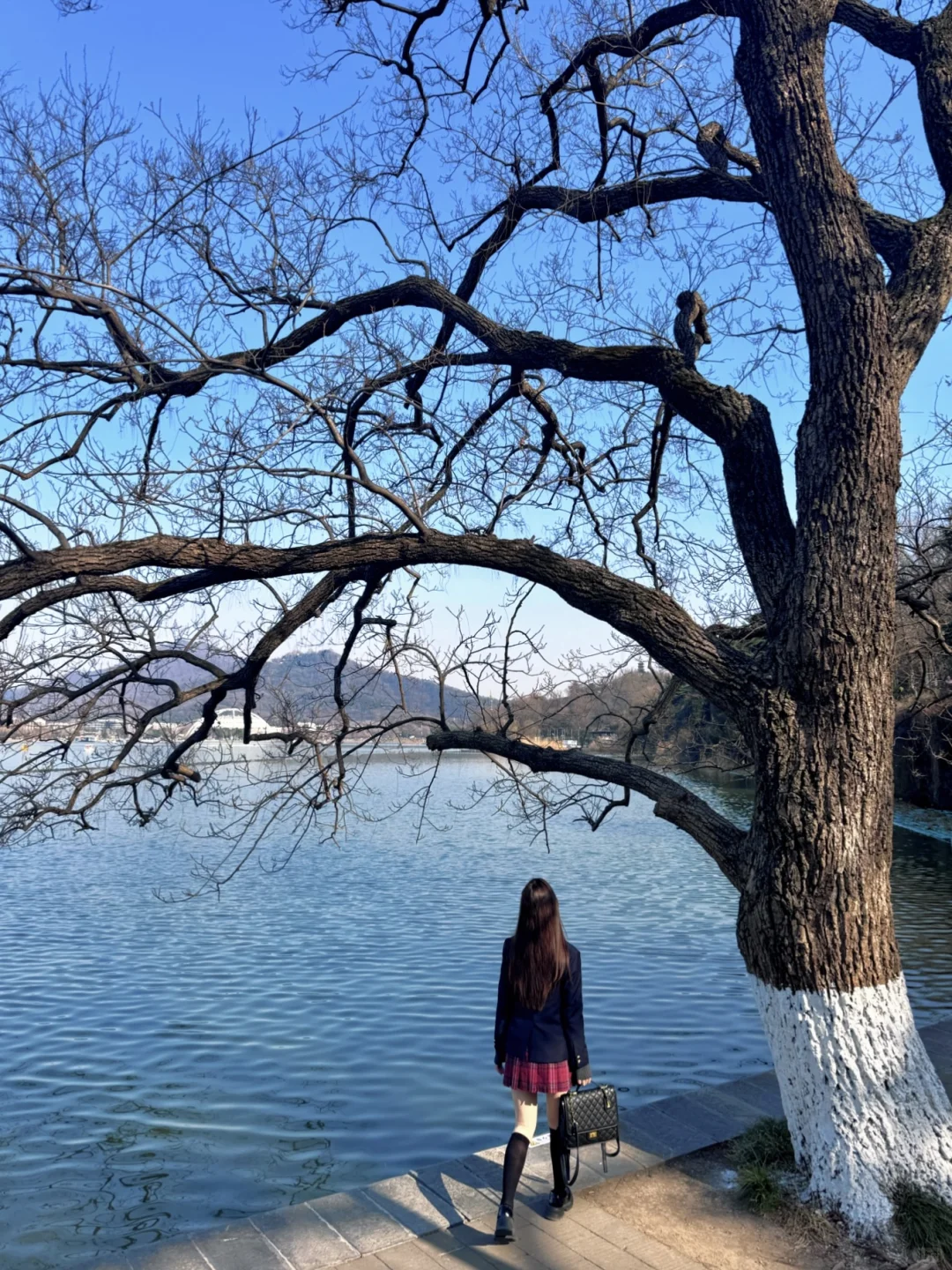 南京4️⃣天3️⃣晚5A级旅游拍照攻略‼