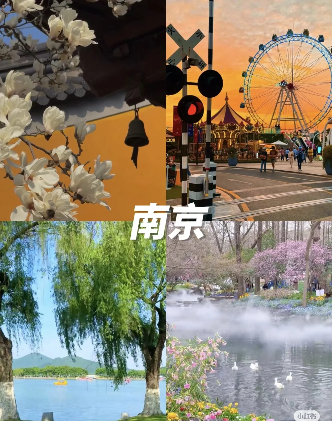 出去玩-保姆级推荐