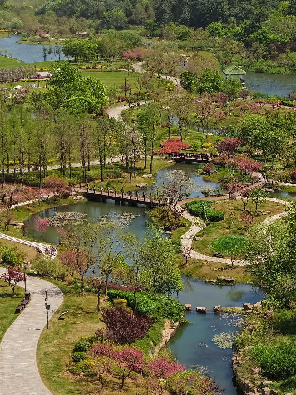 牛首山整个五月都可以瞻礼舍利，你们知道吗？