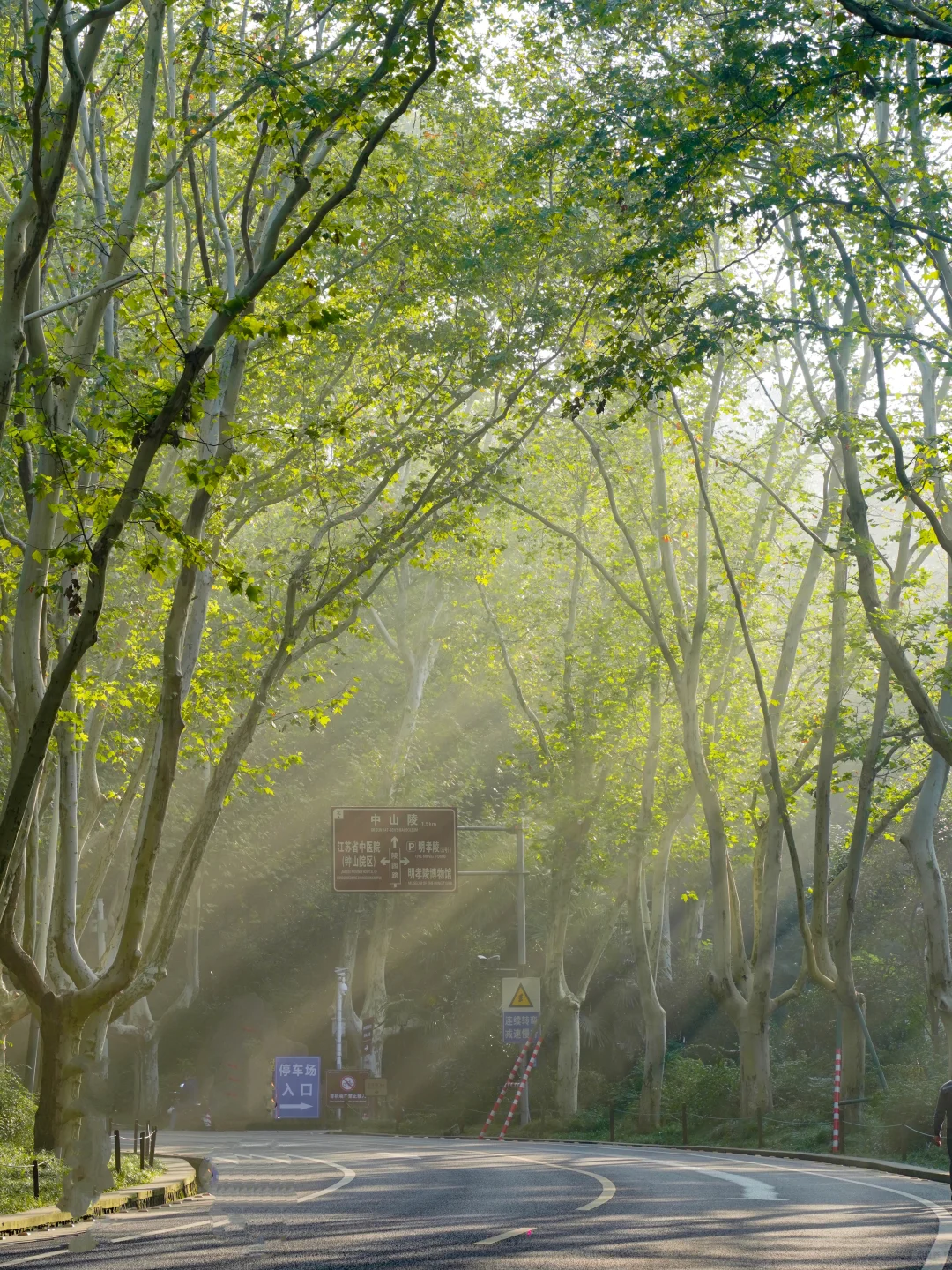 人生建议‼️五一来南京，千万不要错过这里