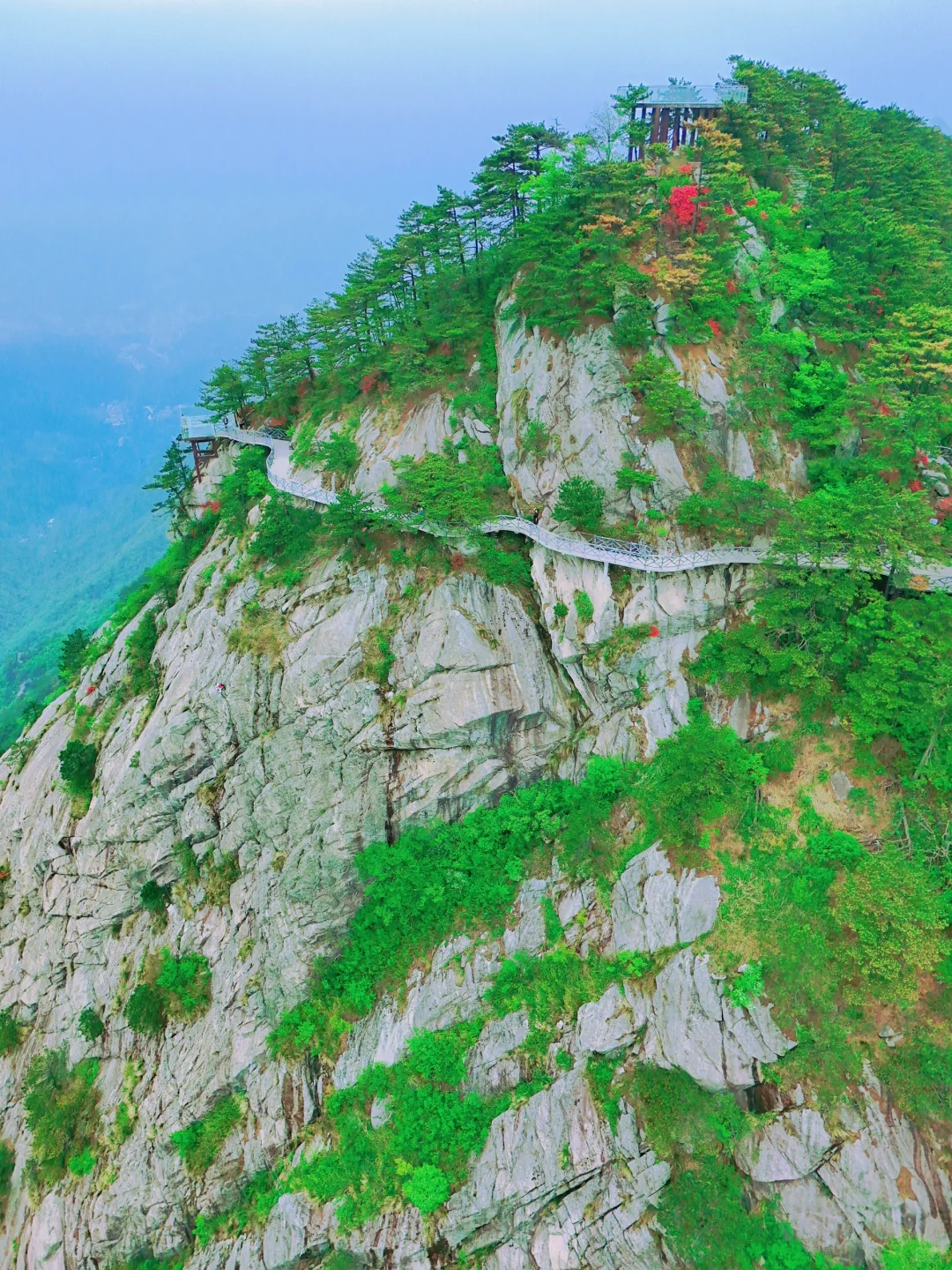 武汉2h,这里杜鹃花🌺已开爆!速来!附攻略