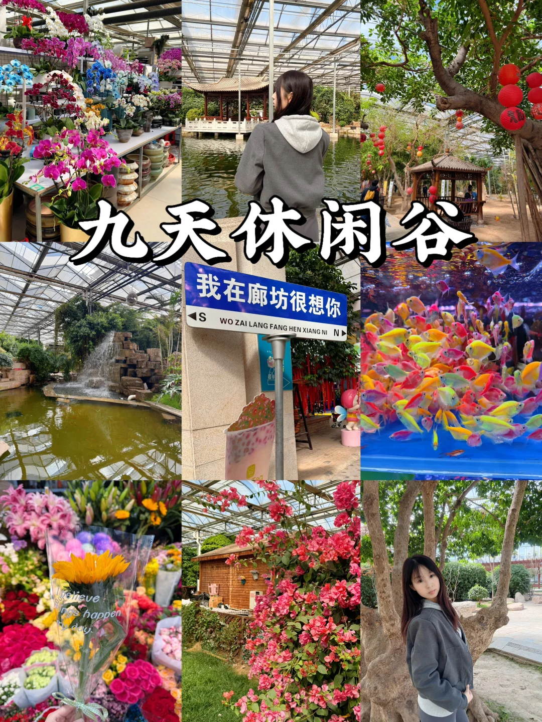 廊坊一日游攻略｜一个人逛遍廊坊怎么玩📍