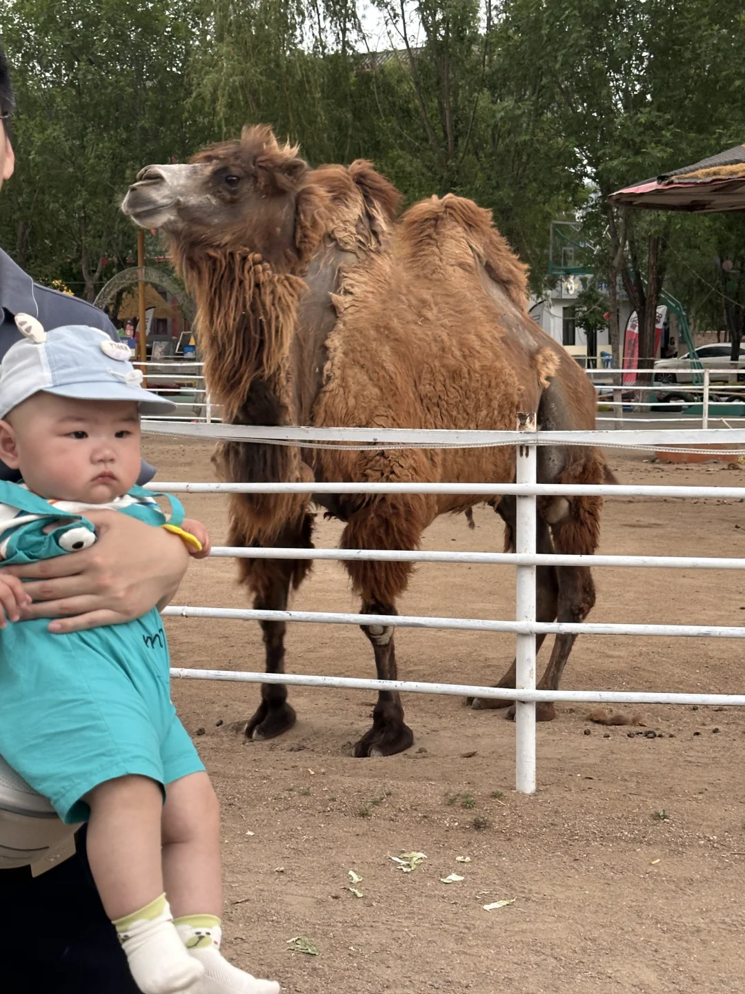 这是一个过气景区