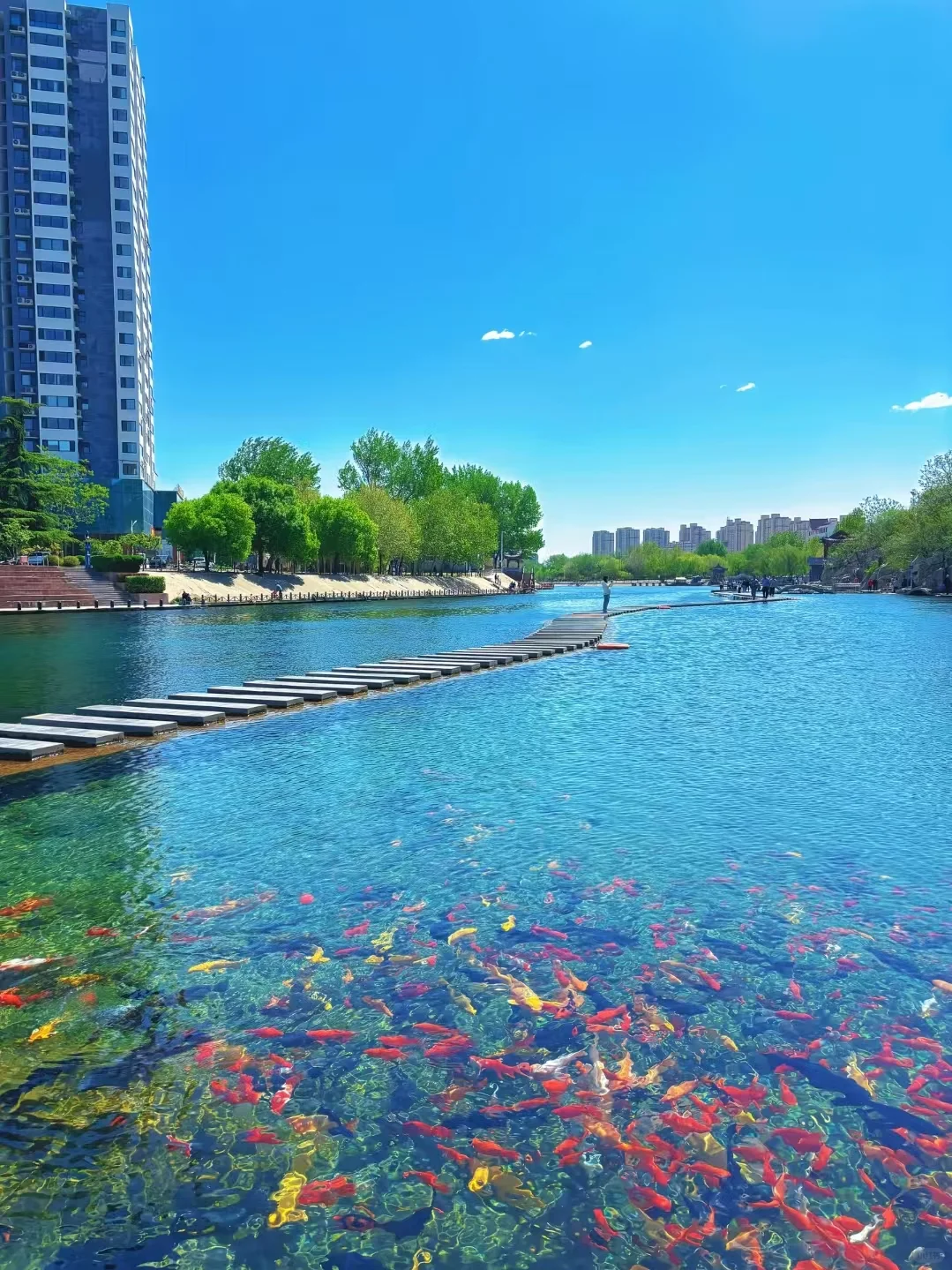 邯郸｜妈耶～这地儿太美了‼️