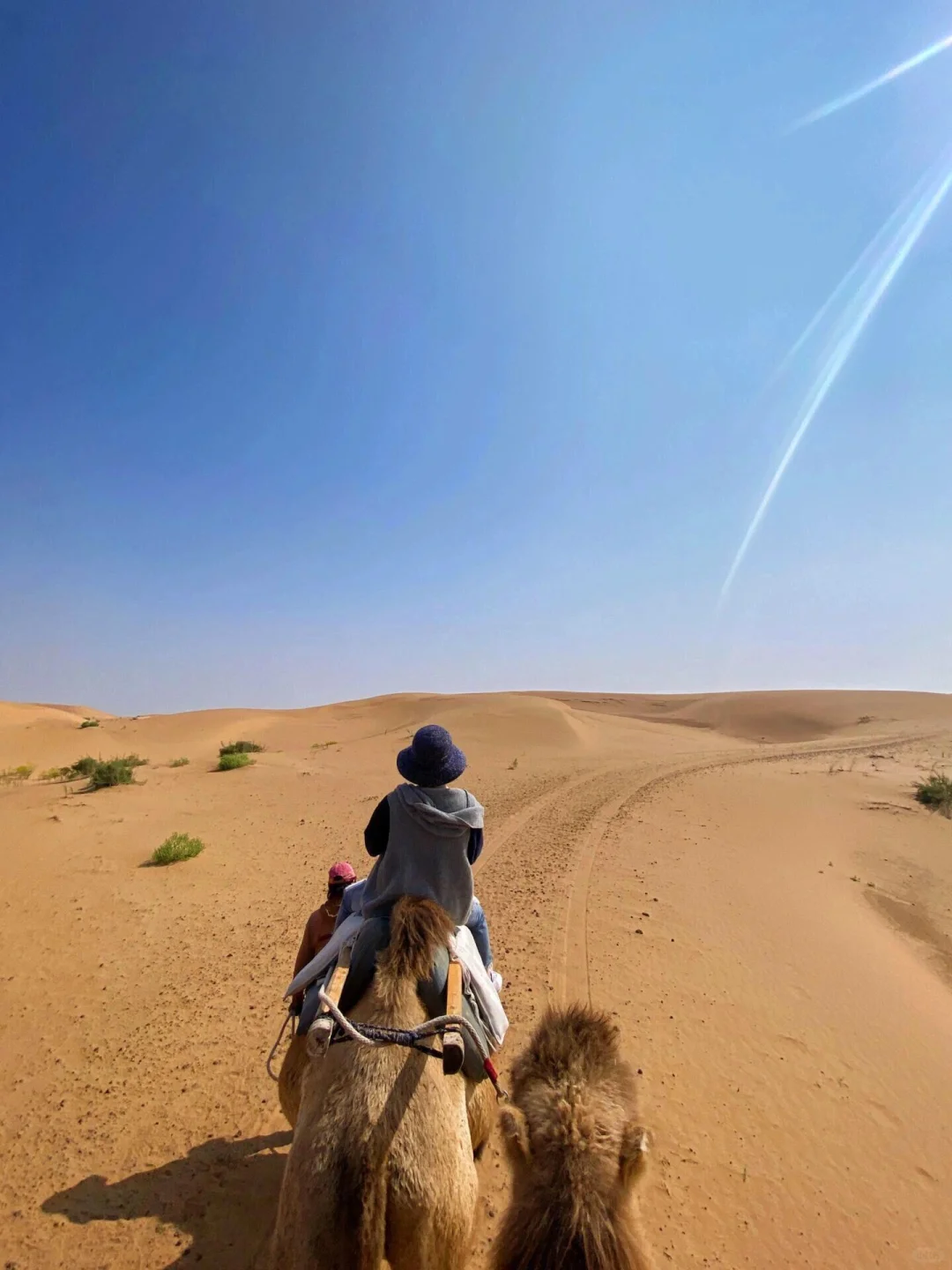 《国家地理》没骗我!最震撼的羚羊谷竟在陕北!