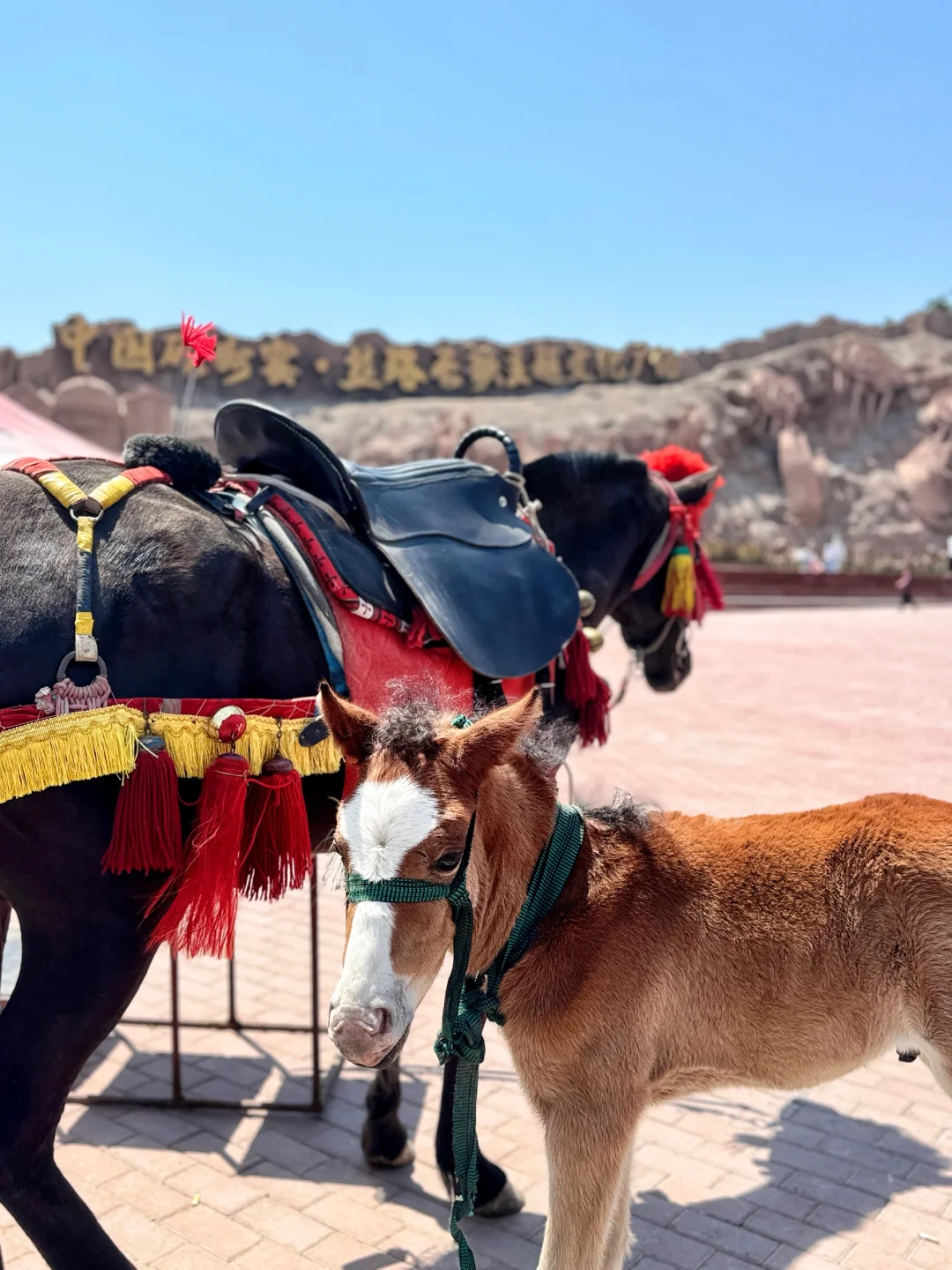 邯郸小众免费景点📸峰峰磁州窑山体浮雕⚱️