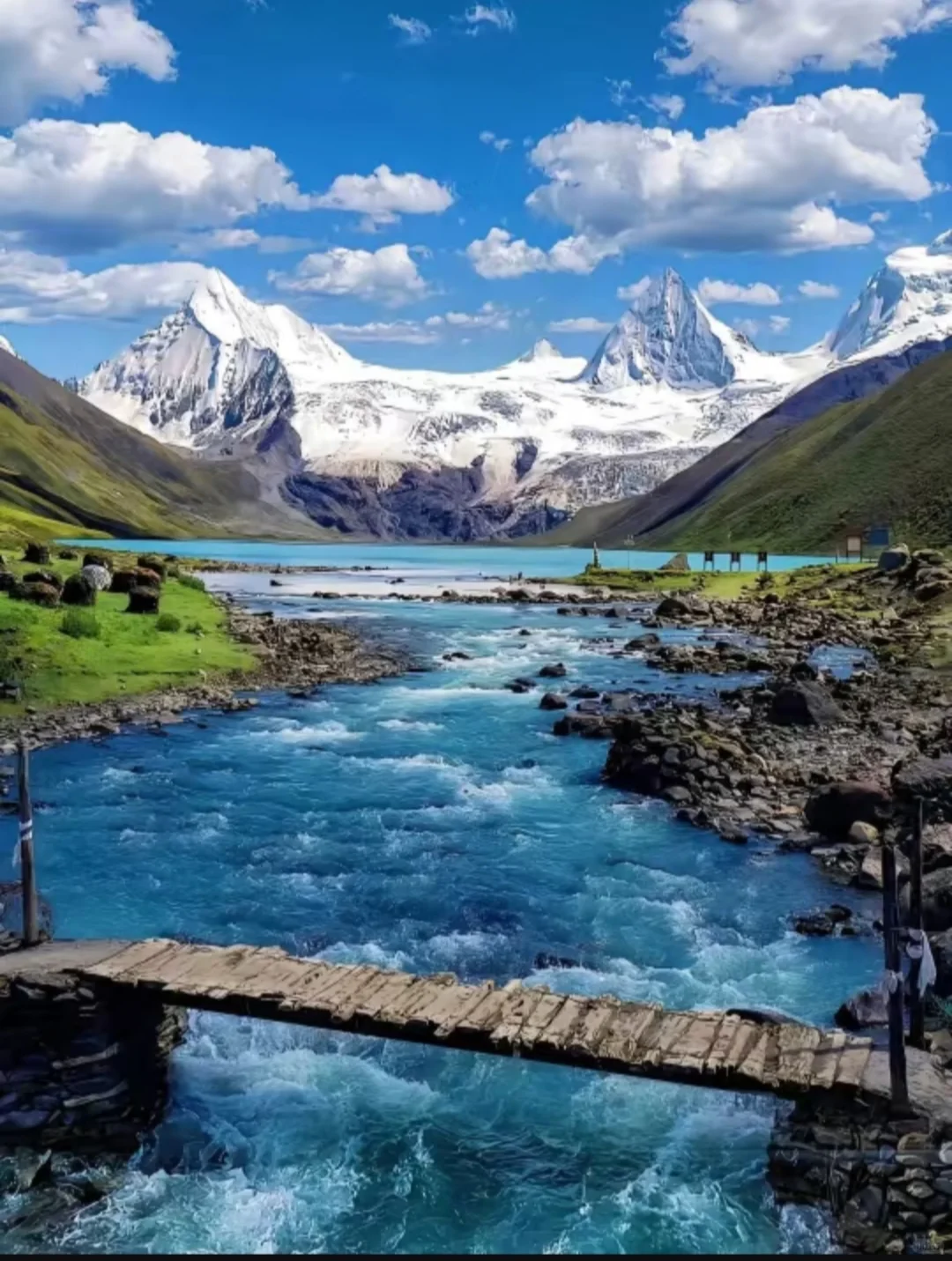 拉萨全攻略|人均1500玩爽玩4天3夜